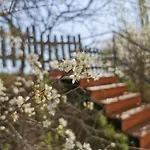 Messzikek Holiday home Egerszalok
