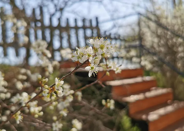 Messzikek Дом отдыха Эгерсалок